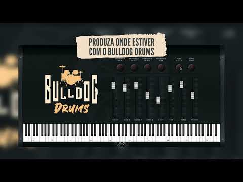Free Download Bulldog Drums VST2i VST3i x64 WiN-MOCHA