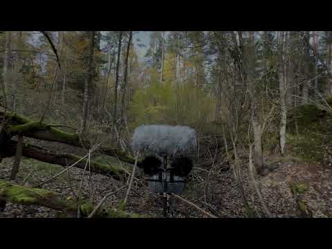 Field Recording ORTF Mic Comparison: Sennheiser MKH 8040 vs SE Electronics SE8 vs Line Audio CM3