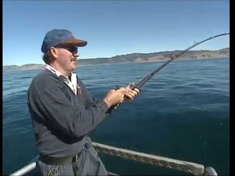 Castle Point, NZ - GONE FISHIN' "Blast from the Past"