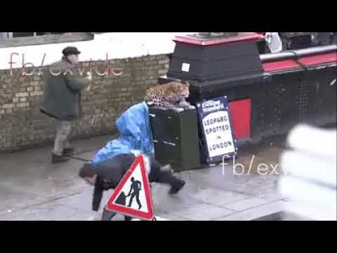 Os sustos mais engraçados 🔴!!!