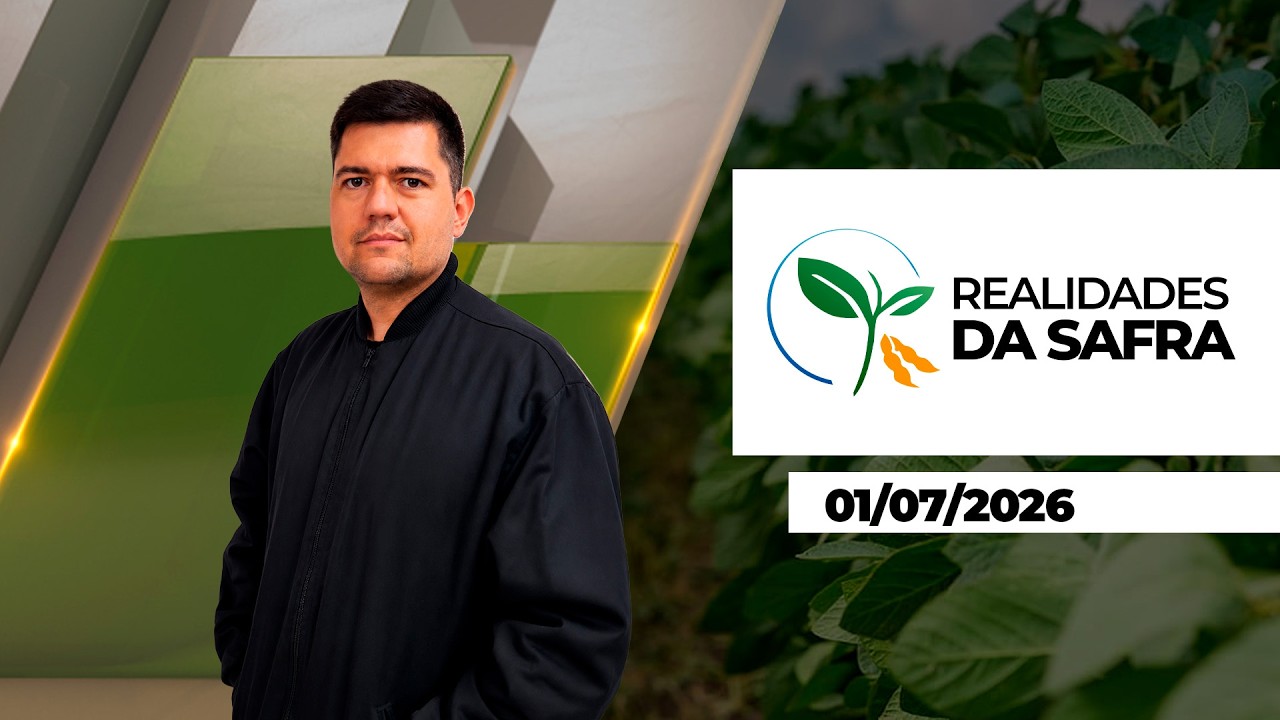 Colheita do milho passa dos 40% em Rondônia, mas chuva  limita avanço em Marechal Cândido Rondon/PR