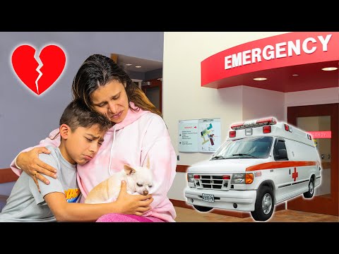 We Rushed to the EMERGENCY ROOM on Vacation 😢 | The Royalty Family