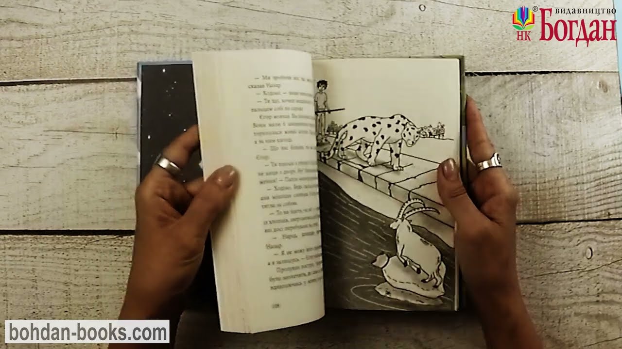 Шедді: пригодницька повість / Швачка А. І.