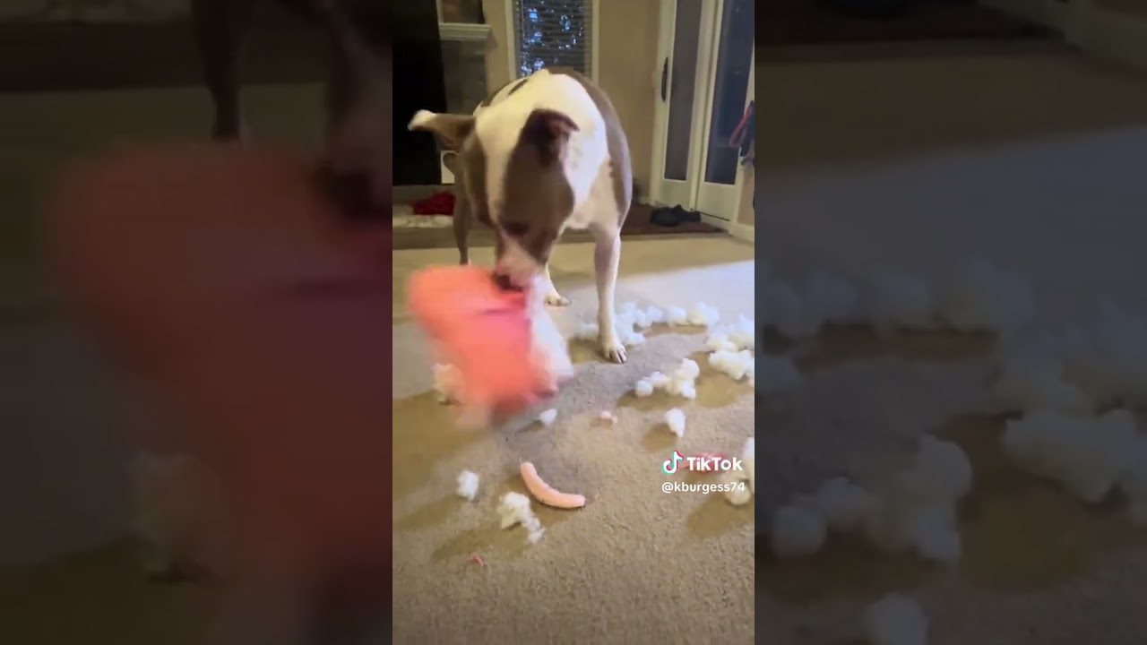Tearing and Shredding