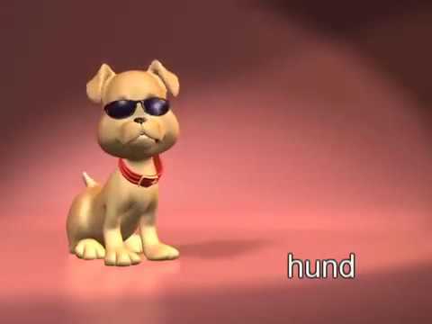 1078 Korean learning for kids   Korean lessons for children   animals  동물   dong mul #D Lingo