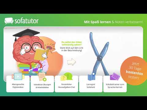 Mitose einfach erklärt – Erklärung, Phasen & Bedeutung