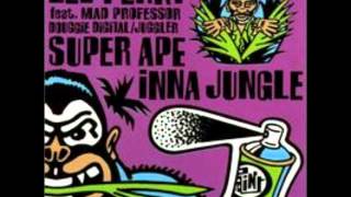 Mad Professor & Lee Perry - Writing On The Wall