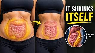 5 Ways To SHRINK Visceral Fat Without Doing Anything (Backed by science)