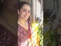 Girija Oak ही साडी मला माझ्या लाडक्या सासूने