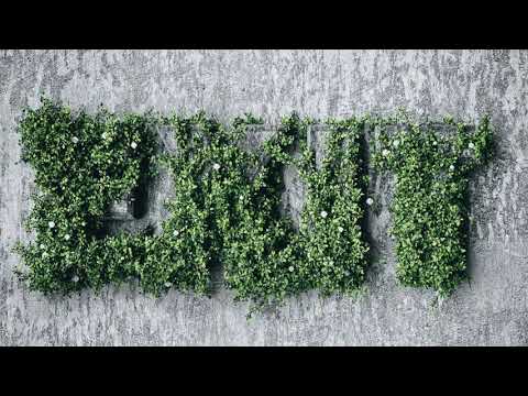 Ditian - Chromatic Minimalism