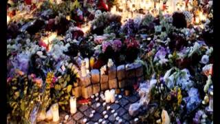 Gaia Epicus - In memory (tribute video to terror victims in Norway 2011)