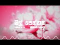 Mal Peththak Remix Slowed Reverb Hibshi KK 6 Th Lane මල් පෙත්තක්