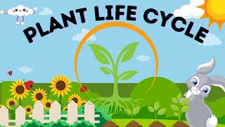 Plant Life Cycle Stages// Learning Life Cycle// Educational Videos For Kids. gameplay video by ellenvseward, 3:01 duration
