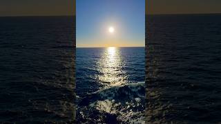 A day at Carribean Sea. #cruise #sea  #symphonyoftheseas  #trip #cruisetour #fun #vacation