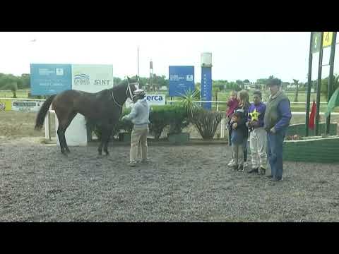 221030 c05 - FAMOUS DILL - SINT COLONIA - PREFERENCIAL EX PRESIDENTE STHC  DON NELSON AGESTA VIGNOLO