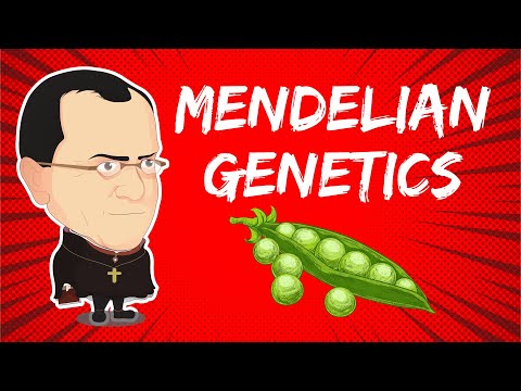 Mendelian Genetics and the Laws of Heredity