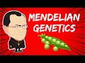 Mendelian Genetics And The Laws Of Heredity