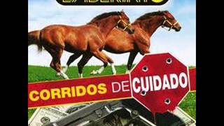 LABERINTO CORRIDOS DE CABALLOS MIX