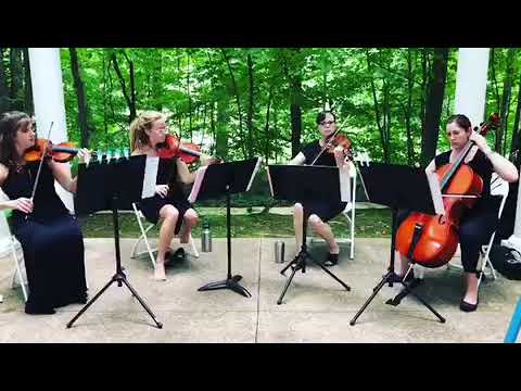 Promotional video thumbnail 3 for Stellare Strings