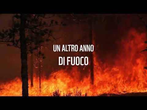anteprima Video