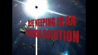 Urban Bee Hive   Colony Collapse Disorder Solution