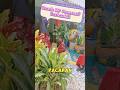 Bocah SD Pacaran Berhenti Shorts Fypシ Funny Pacaran Feedshorts