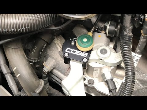 cobb focus st short throw shifter plate install.
