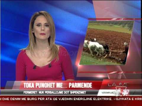 News Edition in Albanian Language - 26 Mars 2014 - 19:00 - News, Lajme - Vizion Plus