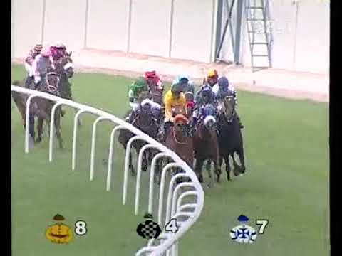 HRC Races 20th August 2017 Race 04