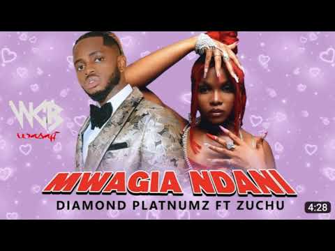 Diamond platnumz ft zuchu-Mwagia Ndani (official video)