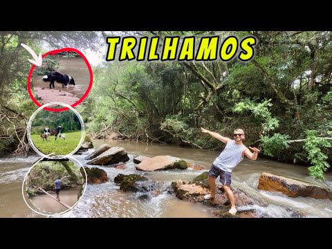 UM POUQUINHO DA CAMPANHA DE BARÃO DO TRIUNFO RS - Daily Vlog