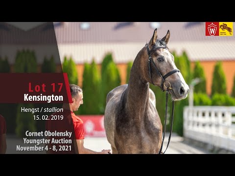 Youngster Auktion Lot 17 Kensington Hengst v. Kannan - Attacke UA