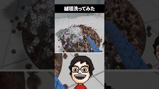 ゲームの世界で絨毯を洗う男｜絨毯を洗うゲーム #shorts