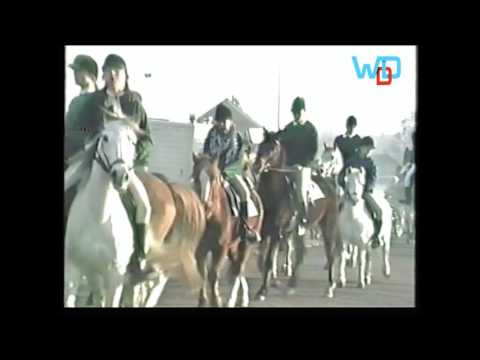 Sinterklaas intocht Westerhaar 1986