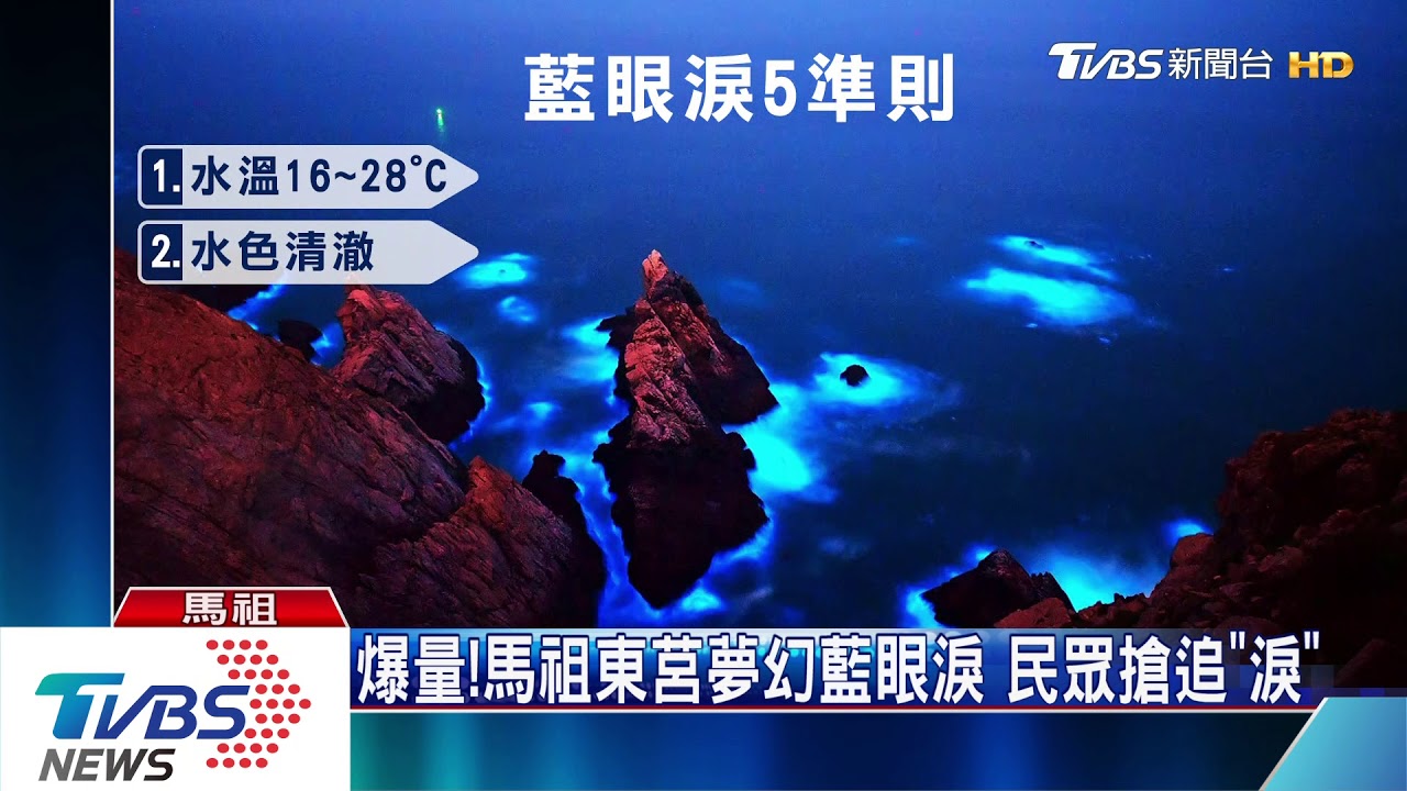 爆量!馬祖東莒夢幻藍眼淚 民眾搶追「淚」