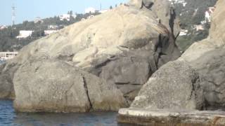 preview picture of video 'Большая Ялта. Алупка. Детский пляж. 2014 год. Часть 4'