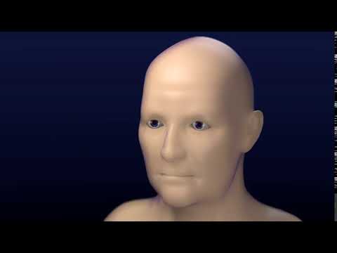 Character Facial Animation Using Shape Keys