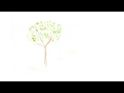 Roman Hampacher - Roman Hampacher - Lípa (Bílá Vrána 2020)