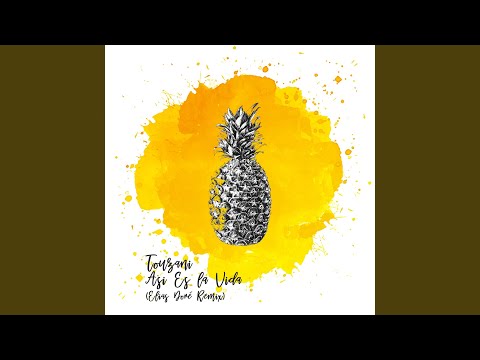 Asi Es la Vida (Elias Doré Remix)