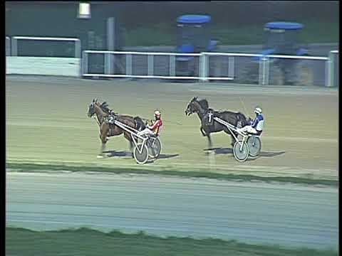 Trotto 11/03/2018 - prova di qualifica