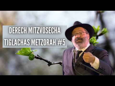 Why Do Married Women Cover Their Hair?