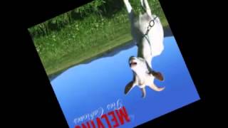 Melvins - Psychodelic Haze