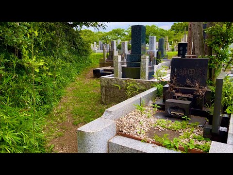 [JAPÃO/Kanagawa]Cenário de caminhada no cemitério de Midorigaoka[Kawasaki/Takatsu]