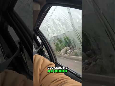 Vergonzoso Estado de las Calles en Córdoba #shorts