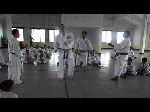 Shihan Kiyohiko Tosa - Genseiryu Karate-do International Federation (GKIF)