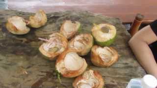 preview picture of video 'Picking and eating fresh coconuts in the jungle near Phattalung , Southern Thailand'
