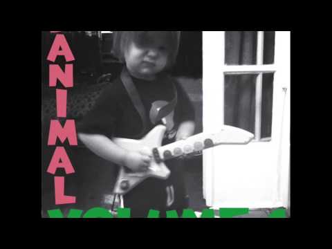 Danimal - The Basics