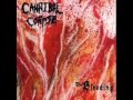 Cannibal Corpse - The Bleeding (Download link in ...