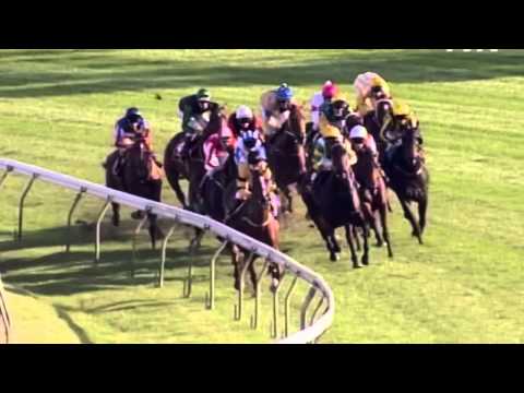 2004 TJ Smith Stakes- Dilly Dally