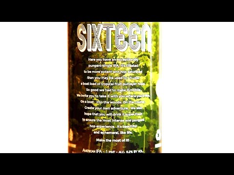 Tree House Brewing Co. : Curiosity Sixteen  - What Cheers! Review #124